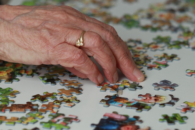 Puzzle-Tauschbörse